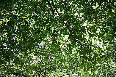 高能电玩节：神秘RPG“Project SAS”先导预告片